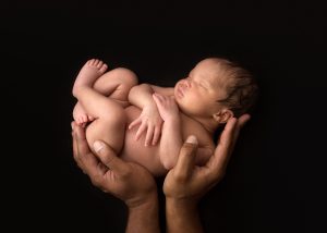 atlanta twin photographer, atlanta newborn photographer, georgia twin photographer, atlanta baby photographer, atlanta newborn photographer, twins, newborn twin photos, buckhead twin photographer, buckhead newborn photographer, sandy springs newborn photographer, best newborn photographer atlanta, cute twin photos,