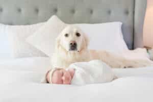 atlanta newborn photographer, atlanta family photographer