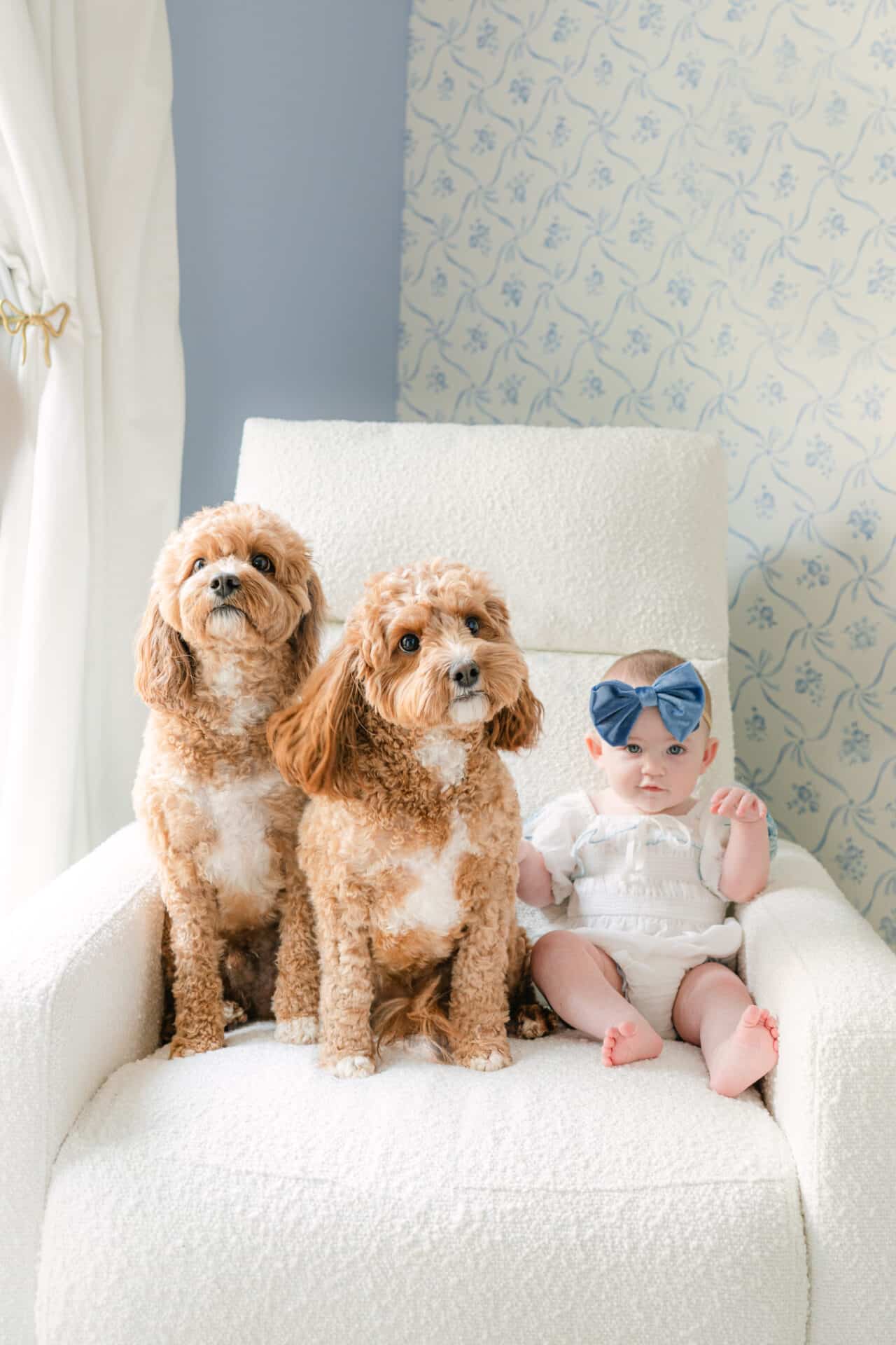 atlanta family photography, family photography in atlanta, golden doodle family photos
