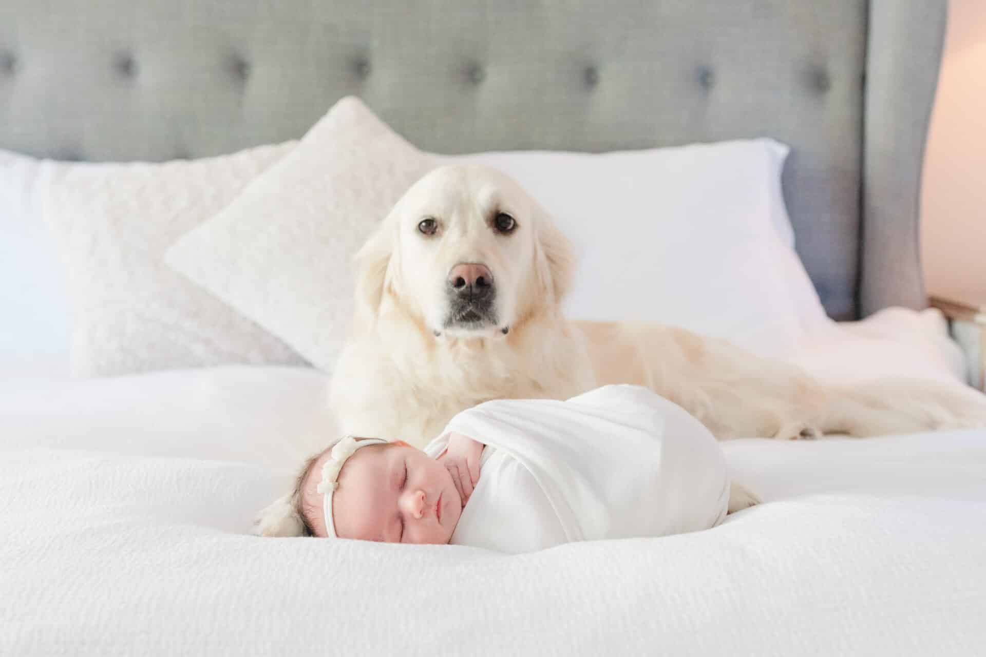 baby photographer atlanta, bump to baby milestones